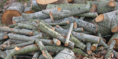 Mooi hout voor de kachel Mooi hout voor de kachel