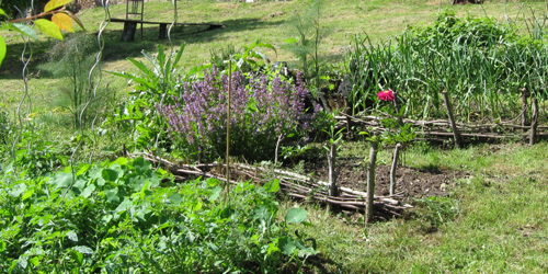 Onze moestuin Onze moestuin
